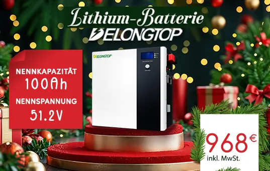 DelongTop 51,2V 314Ah 16kWh Lithium-Batterie zum Preis von 2890€ inkl. MwSt.